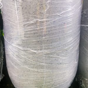 Chậu Trụ tròn bầu đáy